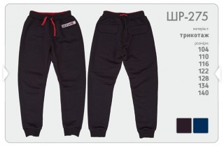 Модные брюки (утепленные)